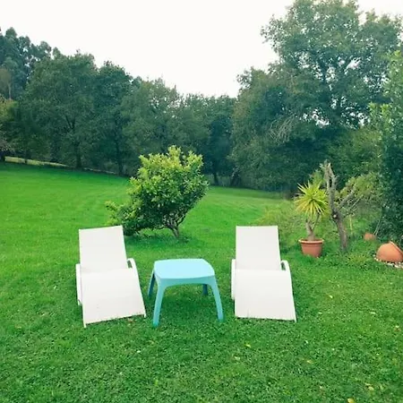 La Rotiza La Collada